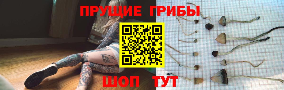 Галлюциногенные грибы мухоморы  Псилоцибиновые грибы Psilocybe  Кулебаки  купить  сайты  Вход с VPN 
